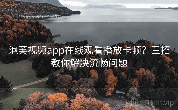 泡芙视频app在线观看播放卡顿?三招教你解决流畅问题