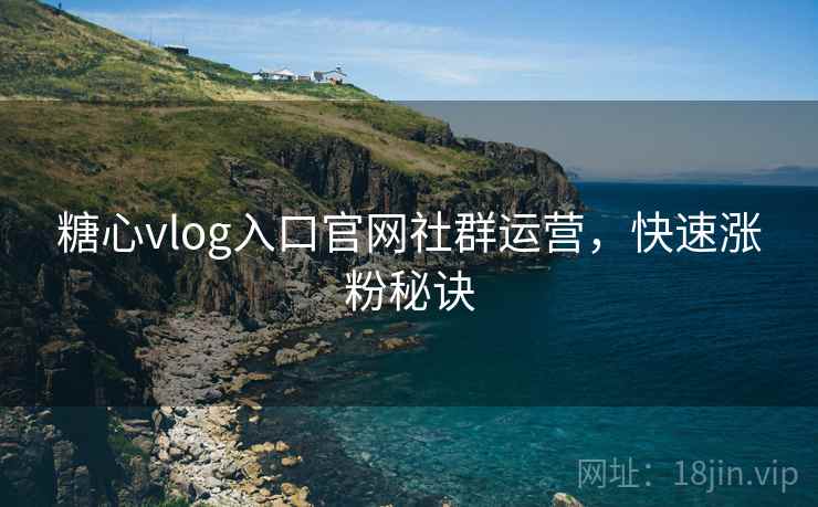 糖心vlog入口官网社群运营,快速涨粉秘诀