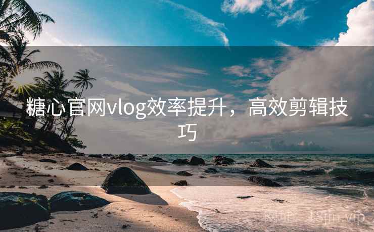 糖心官网vlog效率提升,高效剪辑技巧