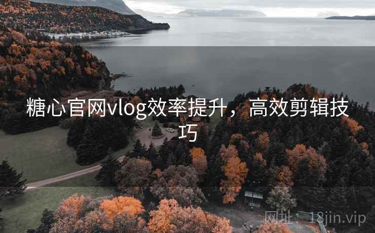 糖心官网vlog效率提升,高效剪辑技巧