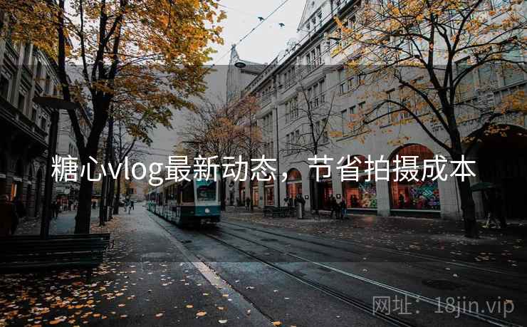 糖心vlog最新动态,节省拍摄成本
